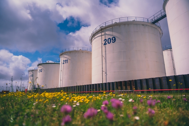 Limax Logistics LLC terminal Le Havre - flowers